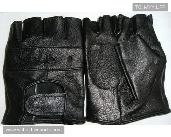 拳击器材销售增长,拳击手套与护具市场需求扩大